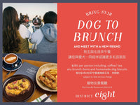 District 8 Bring Your Dog to Brunch 狗主與毛孩早午餐 - Woolly Pig Hong Kong